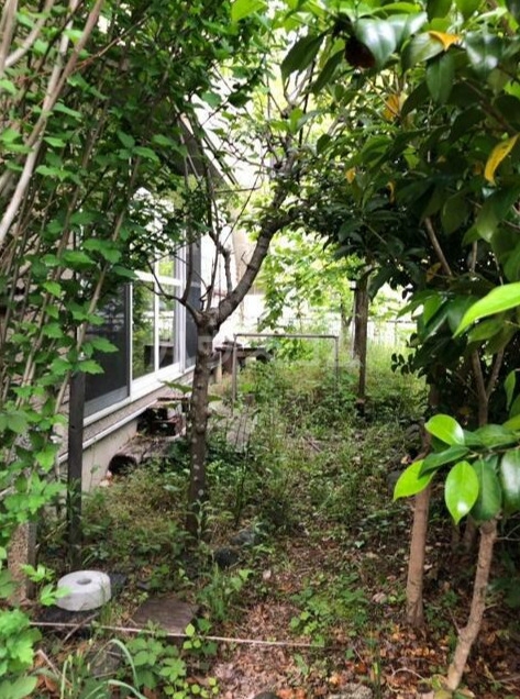 15/28 その他画像