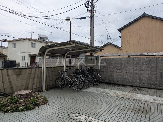 その他共有
