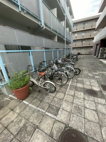 その他共有