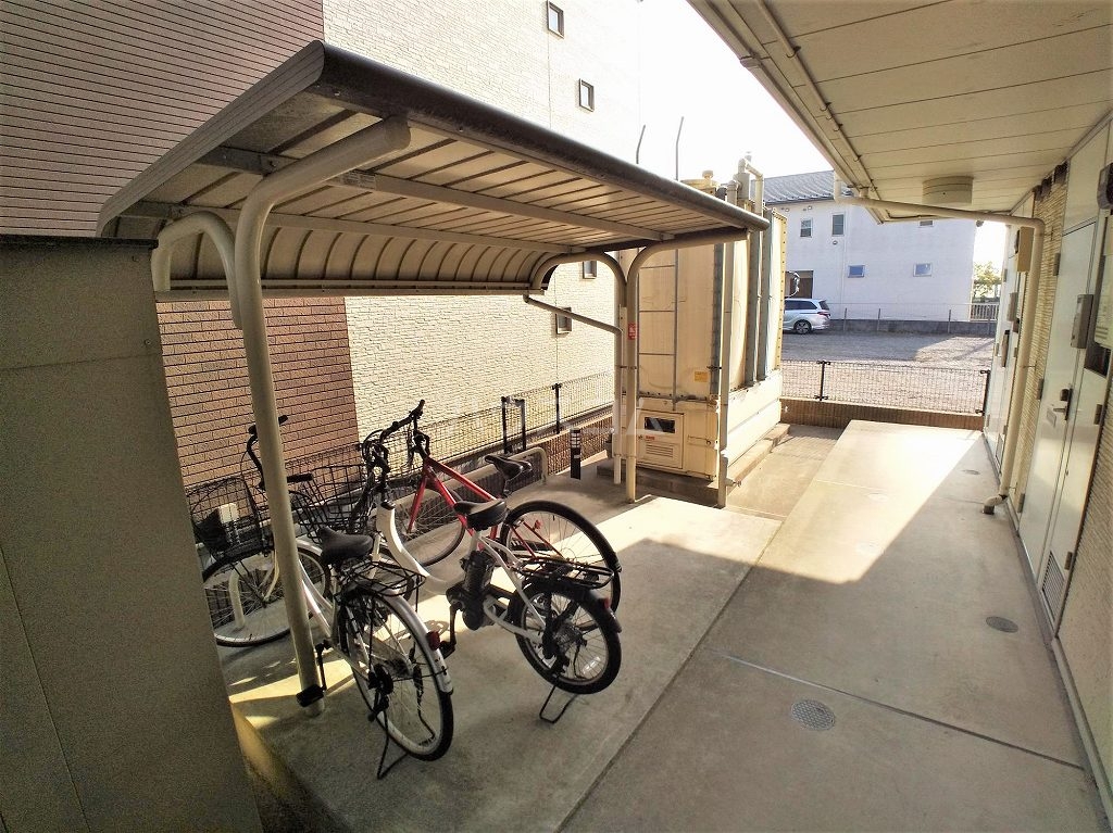 6/17 その他画像