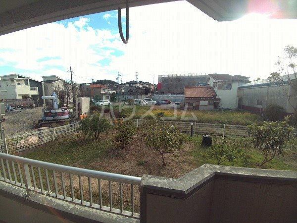 20/30 その他画像