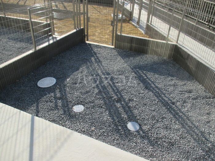 11/19 その他画像