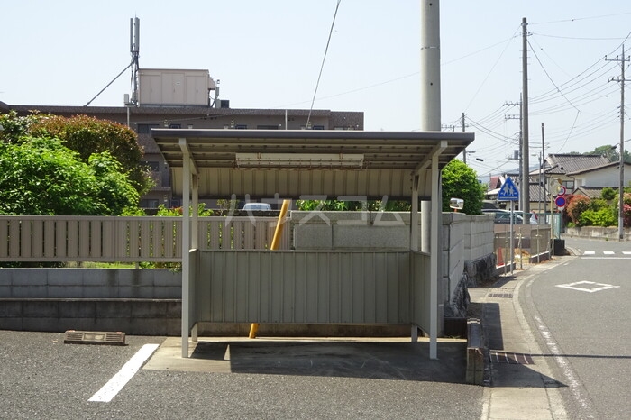 5/11 その他画像