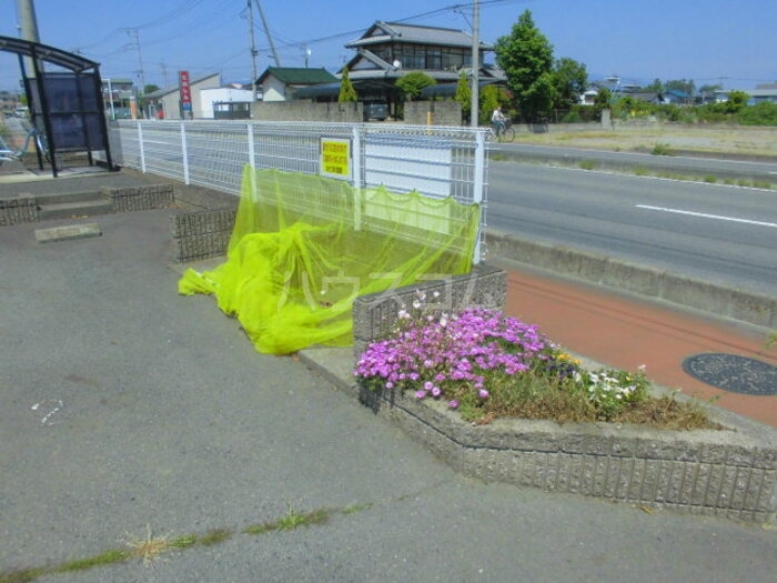 15/25 その他画像