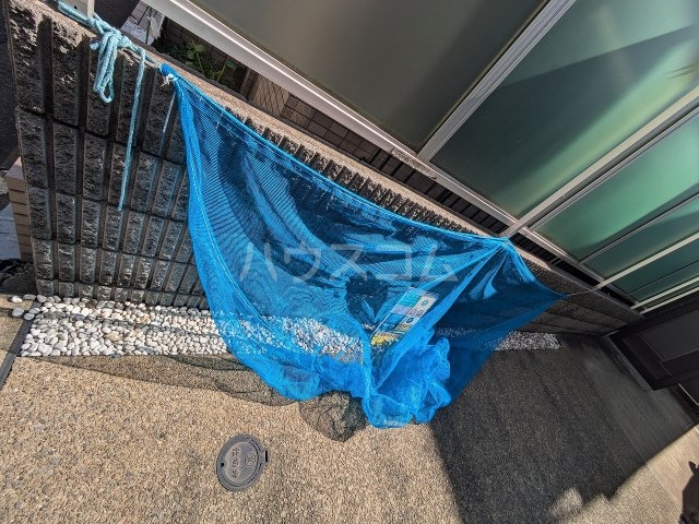 6/17 その他画像