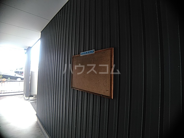 17/30 その他画像