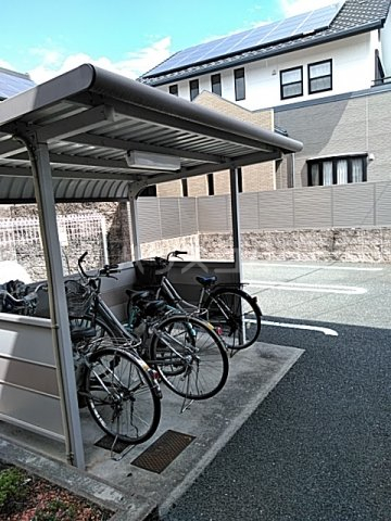 17/29 その他画像