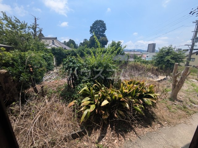 27/30 その他画像