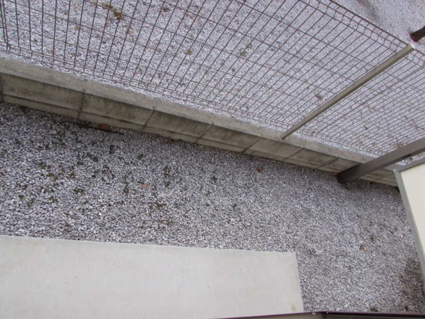 11/16 その他画像