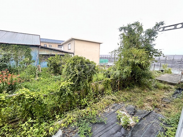 景色