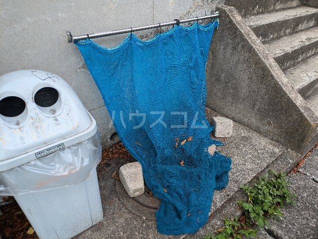 17/29 その他画像