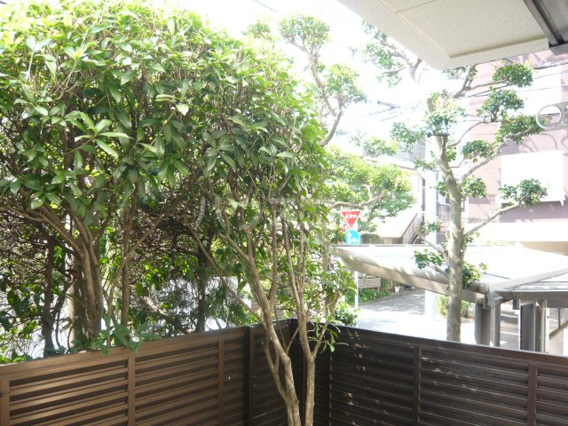 17/30 その他画像