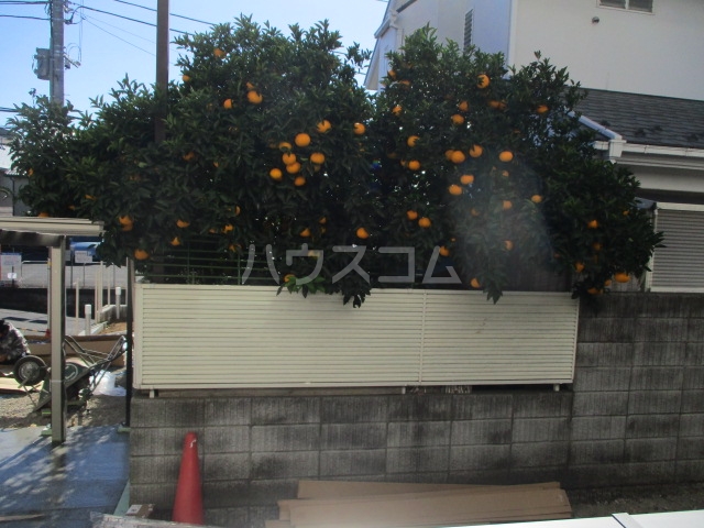 24/30 その他画像