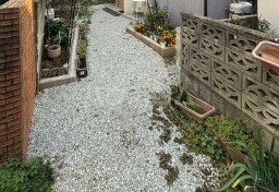 13/25 その他画像