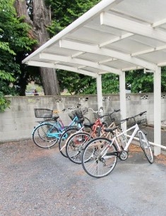 11/15 その他画像