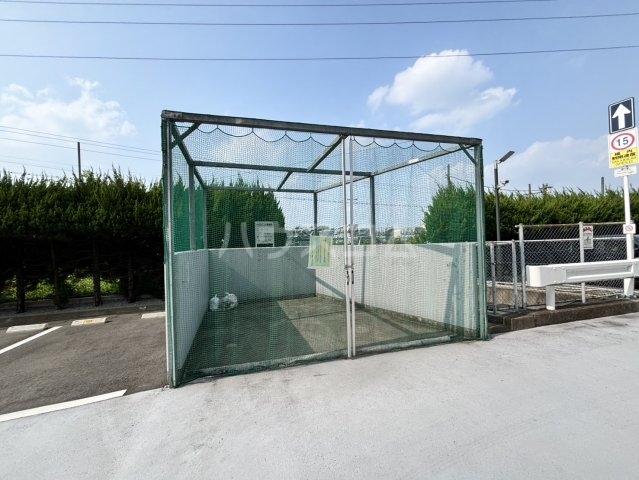 17/25 その他画像