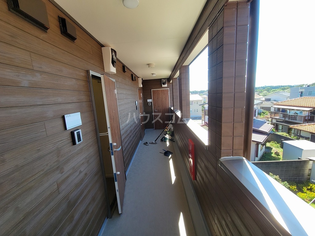 25/30 その他画像