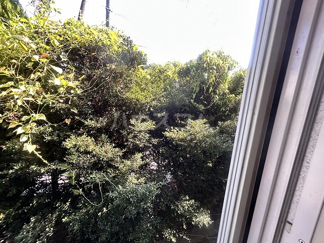 27/29 その他画像