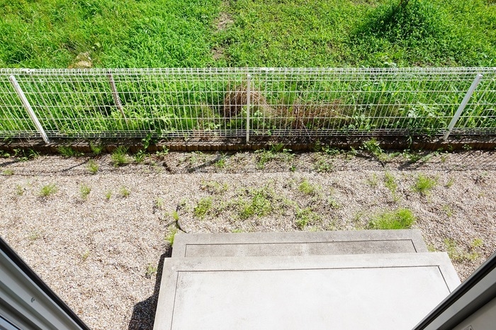 11/18 その他画像