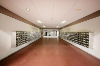 11/17 その他画像