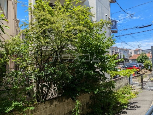 15/19 その他画像