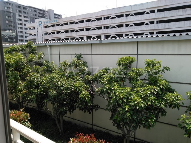 17/30 その他画像