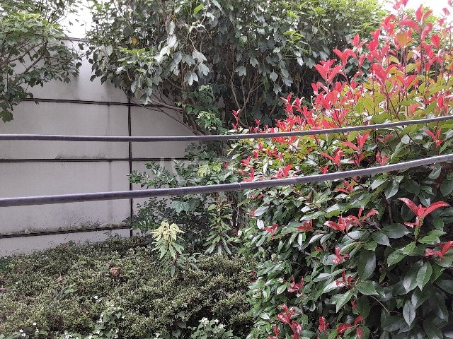 12/26 バルコニー