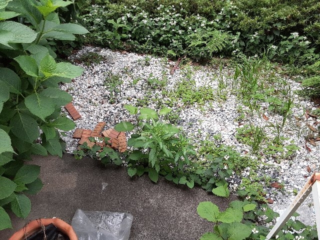 13/26 その他画像