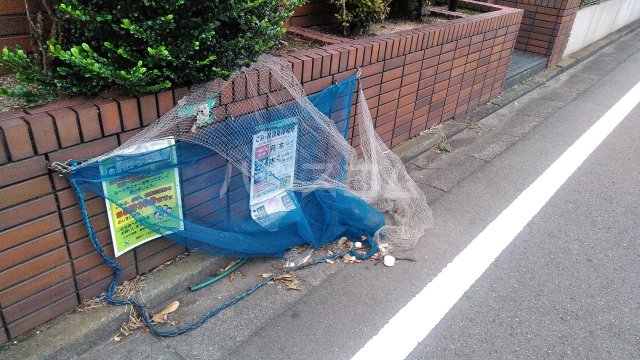 13/22 その他画像