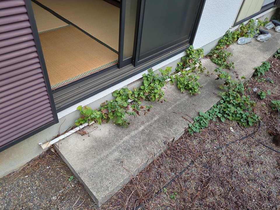 20/30 バルコニー