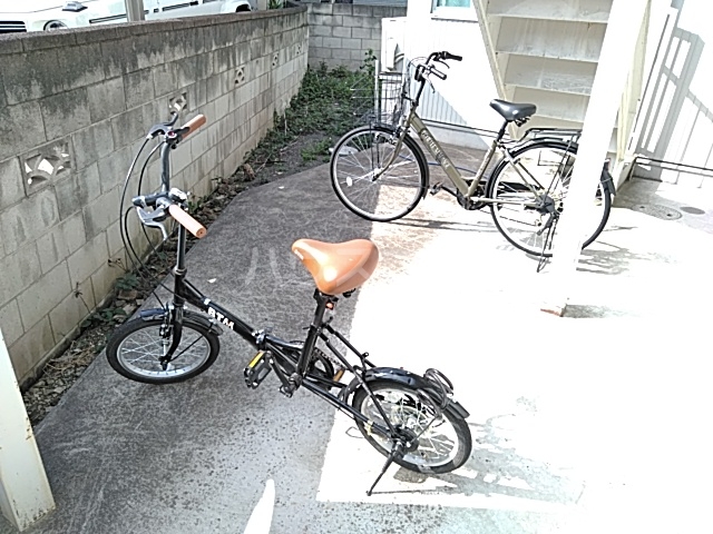 20/30 その他画像