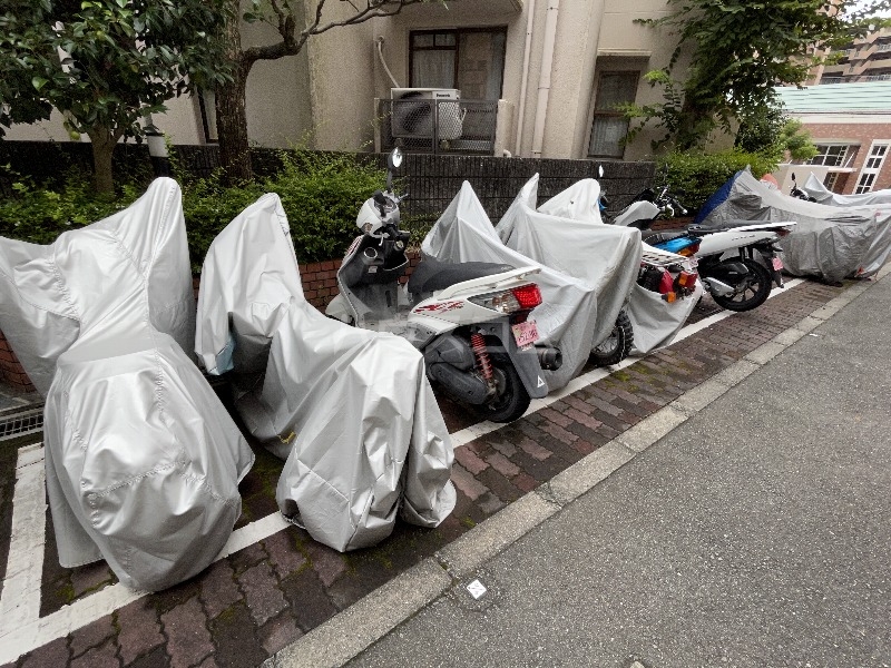 その他共有