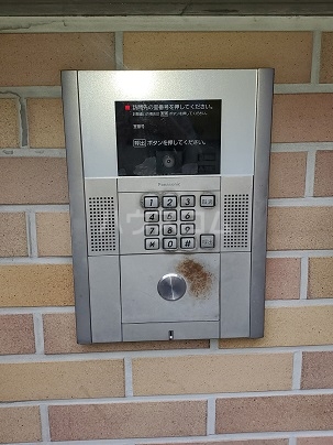 19/26 その他画像