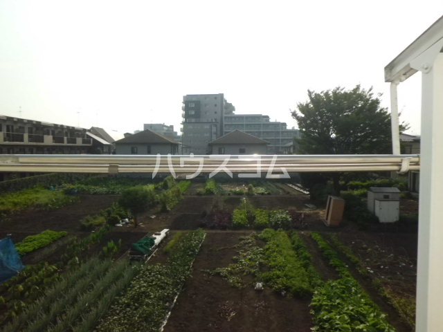 19/30 その他画像