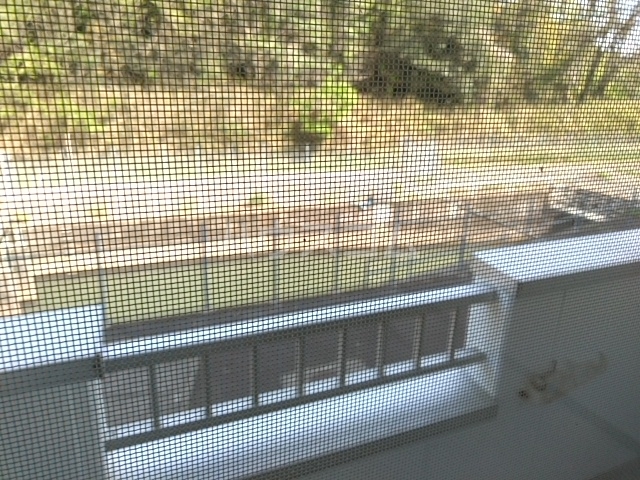 19/24 その他画像