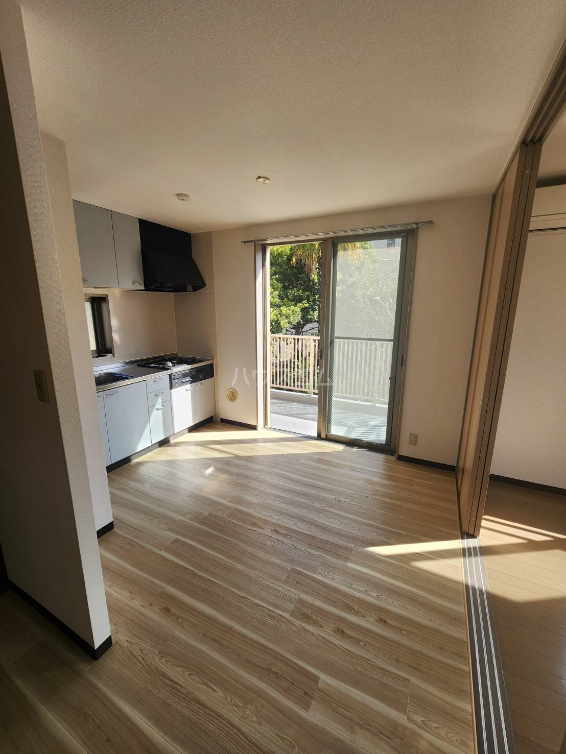 21/29 その他画像