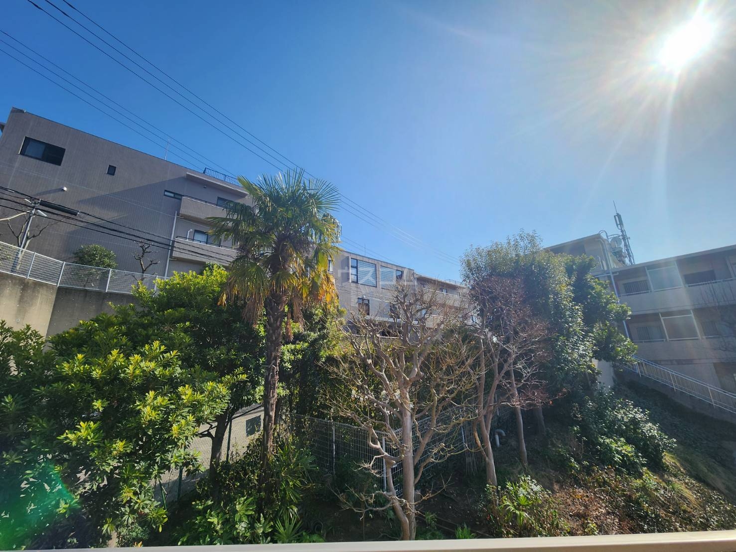 22/29 その他画像