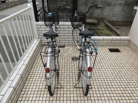その他共有