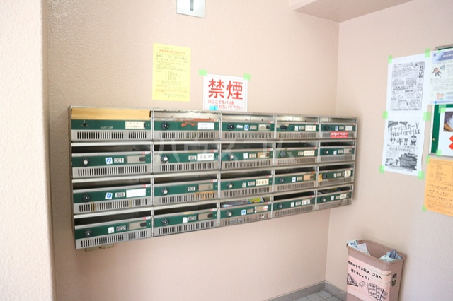 20/30 その他画像