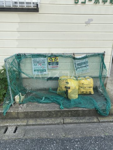 20/30 その他画像