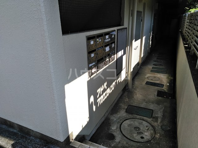 19/30 その他画像