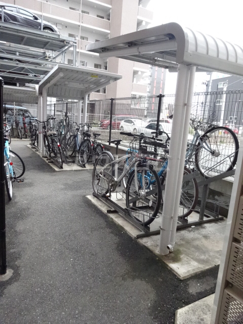 20/30 その他画像