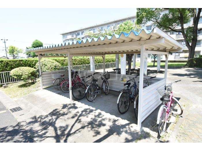 3/13 その他画像