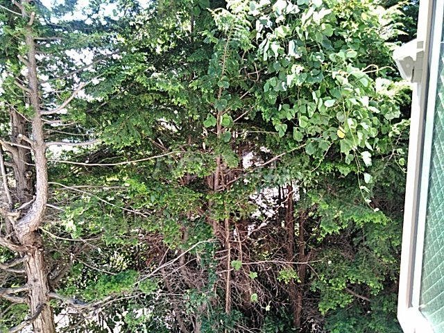 17/26 その他画像