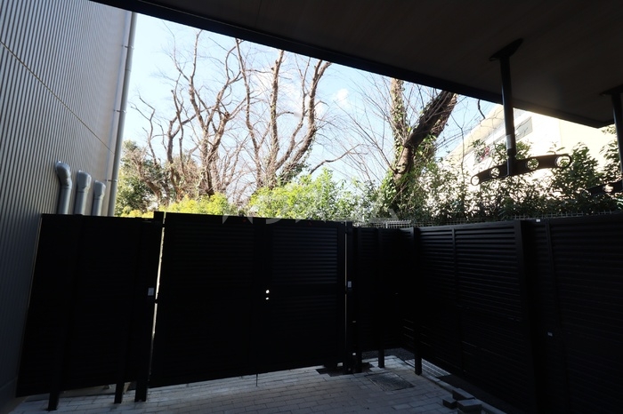 17/22 その他画像