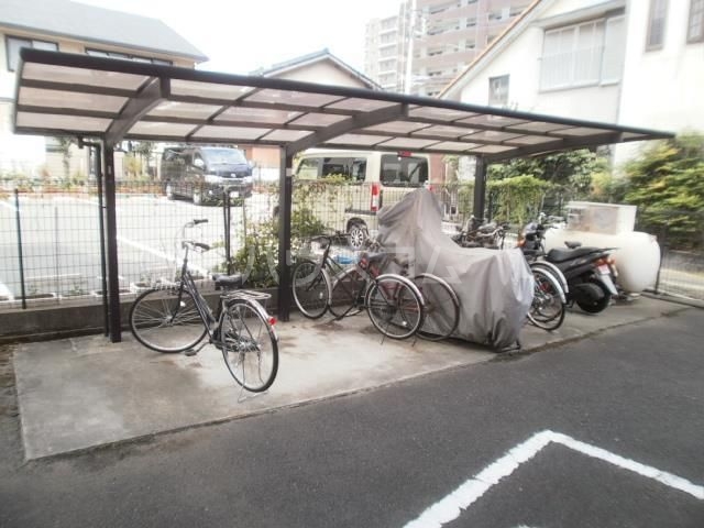 その他共有