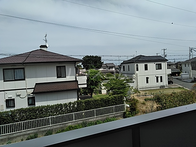 20/30 その他画像