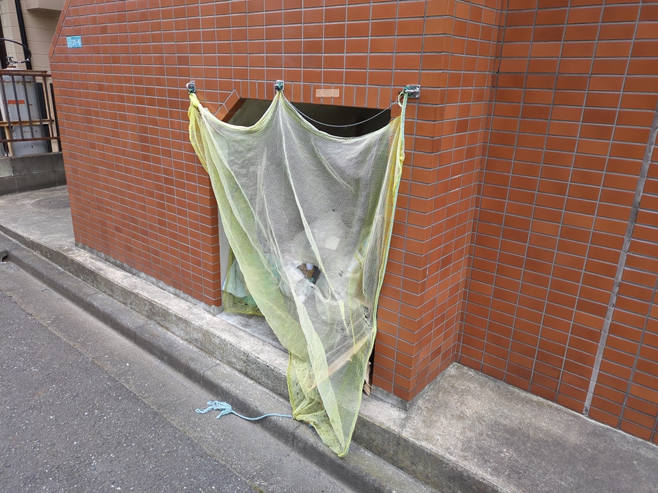 その他共有