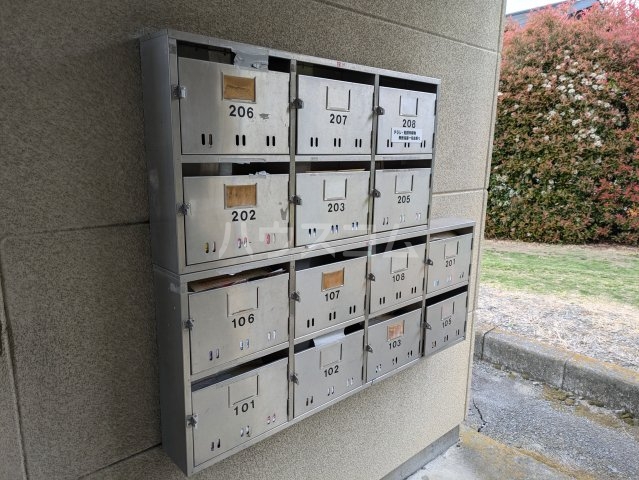 20/30 その他画像