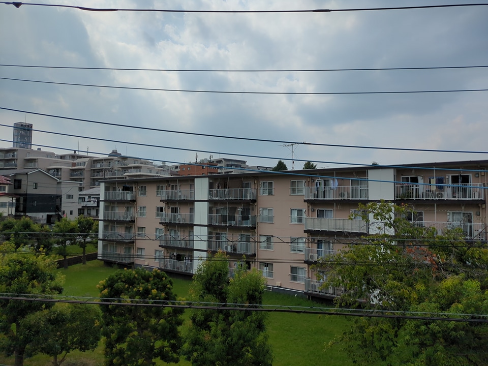 20/30 その他画像